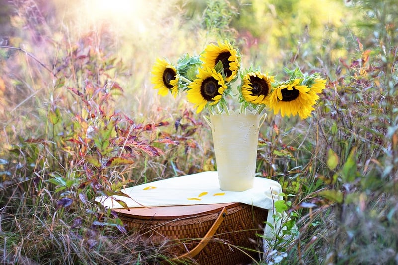 Tin Can Planters